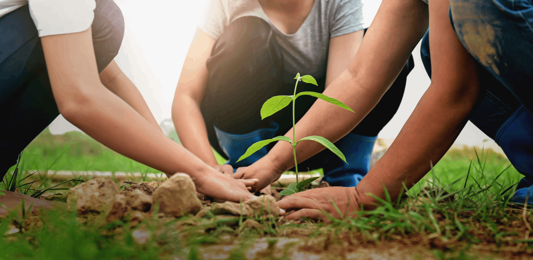 people-planting-tree-nature-save-earth-1
